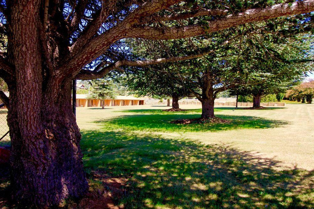 Snowy Mountains Resort And Function Centre Adaminaby Eksteriør billede